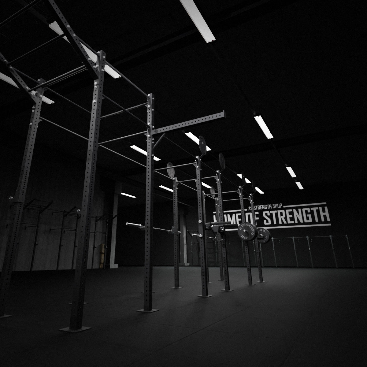 Riot Rig MRR | Outrigger - Strength Shop