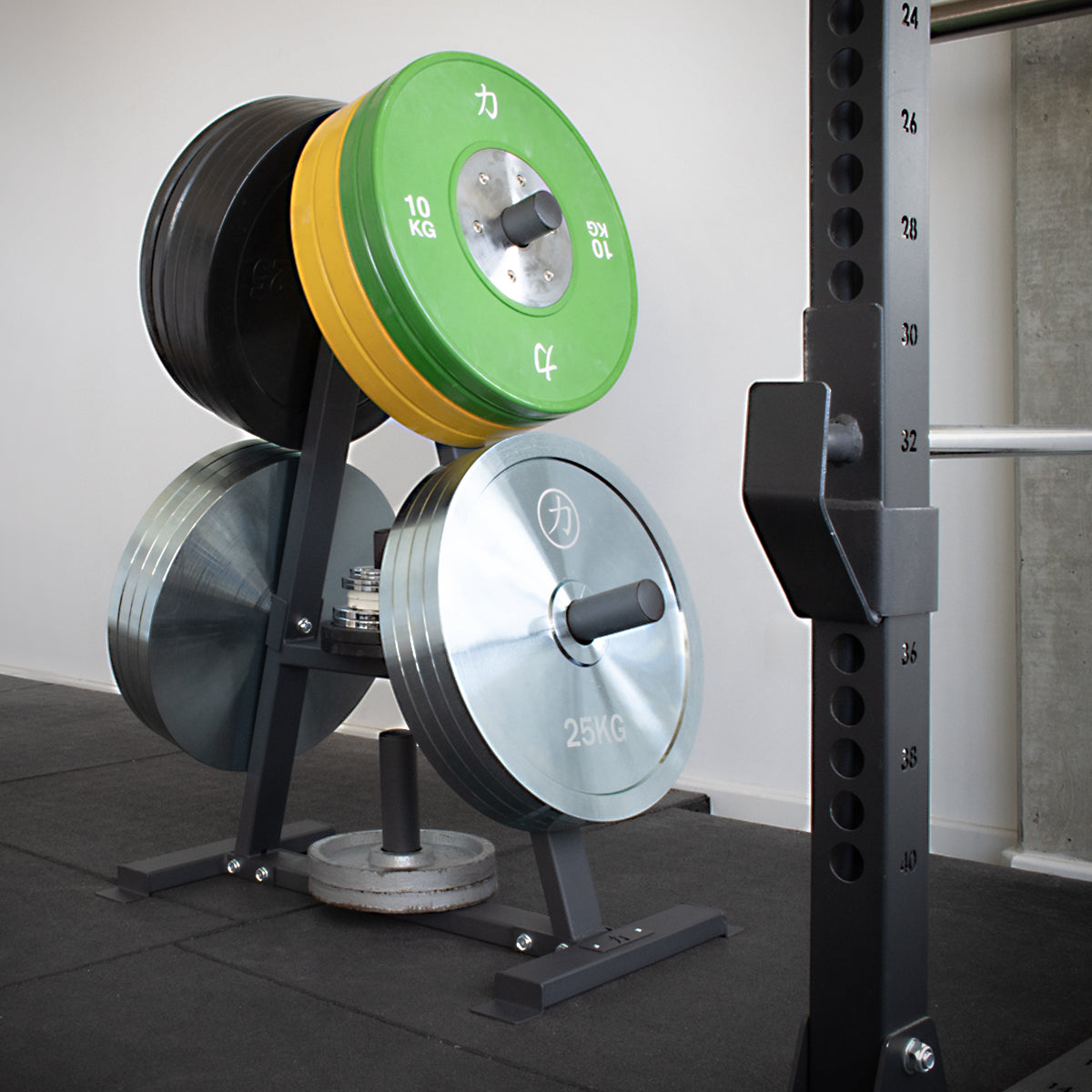 Triangle Weight Tree - Strength Shop