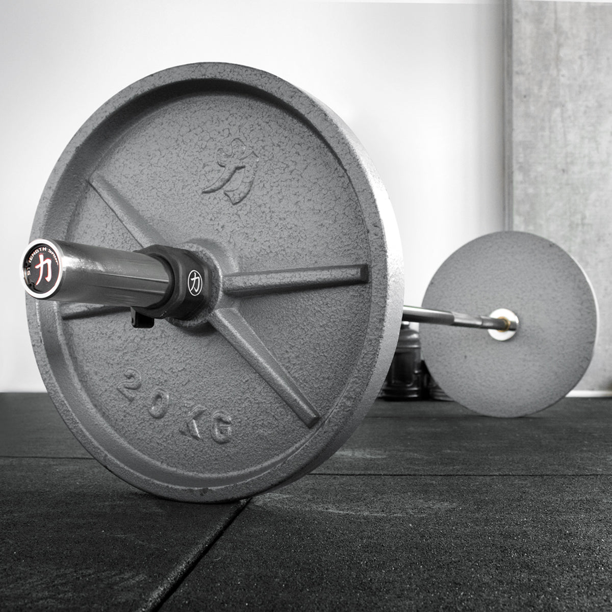 Garage Strength Bar - E-Coat Shaft with Chrome Sleeves - Strength Shop