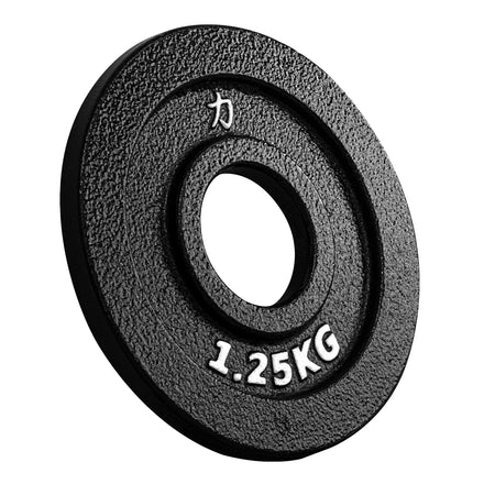 B-WARE Riot Cast Iron Plates - Strength Shop