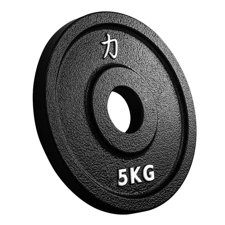 B-WARE Riot Cast Iron Plates - Strength Shop