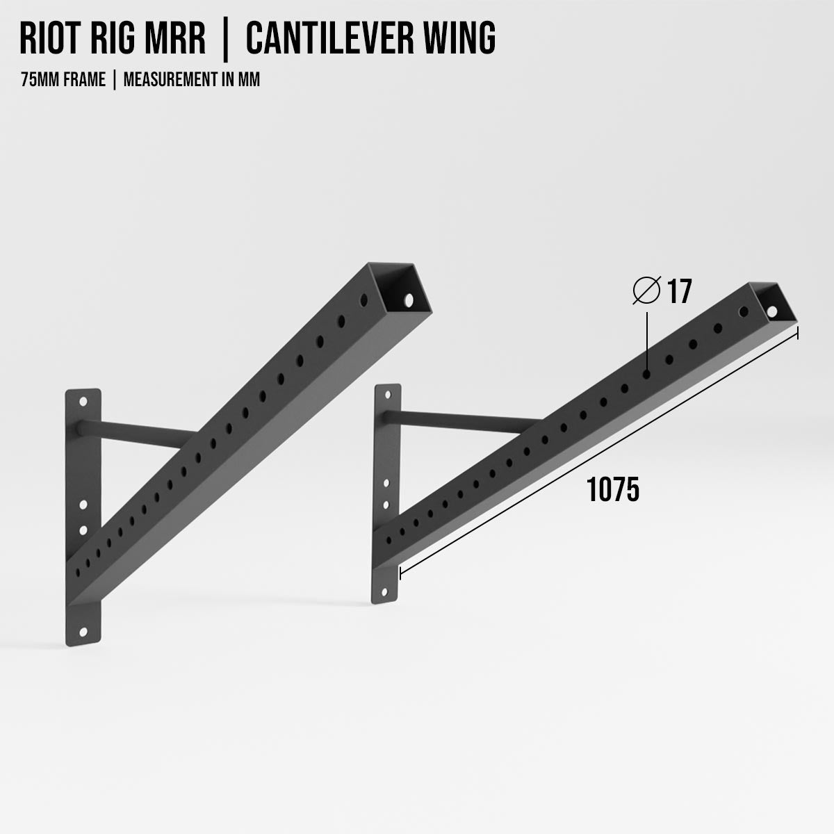 Riot Rig MRR | Cantilever Wing - Strength Shop