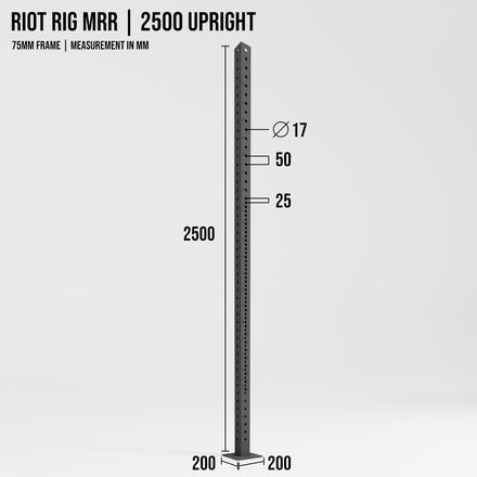 Riot Rig MRR | 2500 Upright - Strength Shop