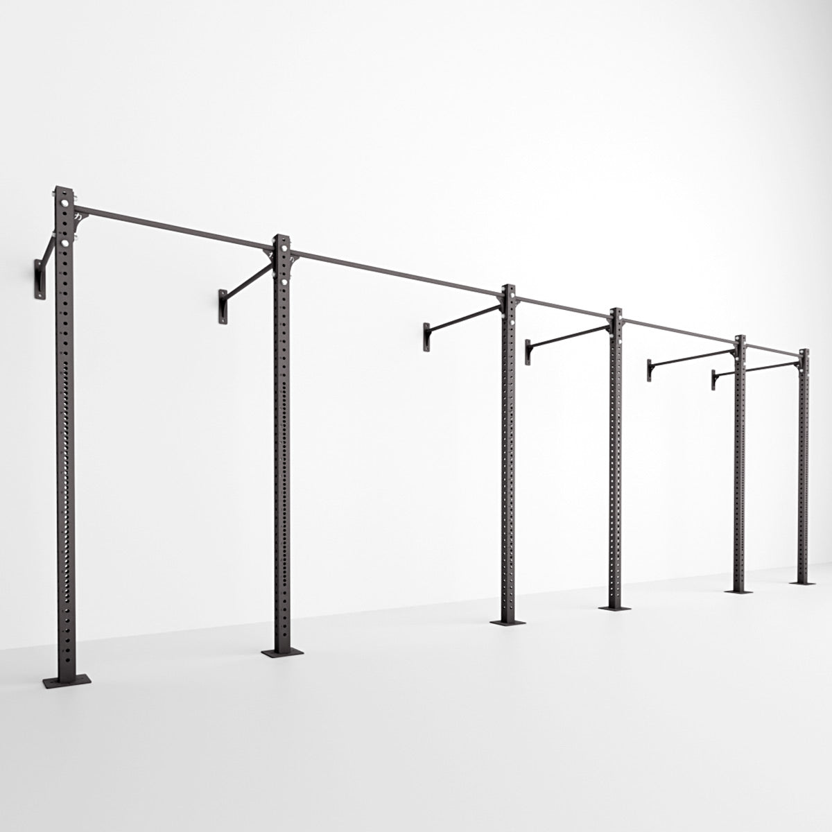 Riot Rig MRR | Wall Mounted - Strength Shop