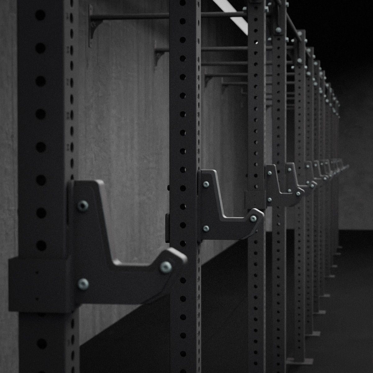 Riot Rig MRR | Wall Mounted - Strength Shop